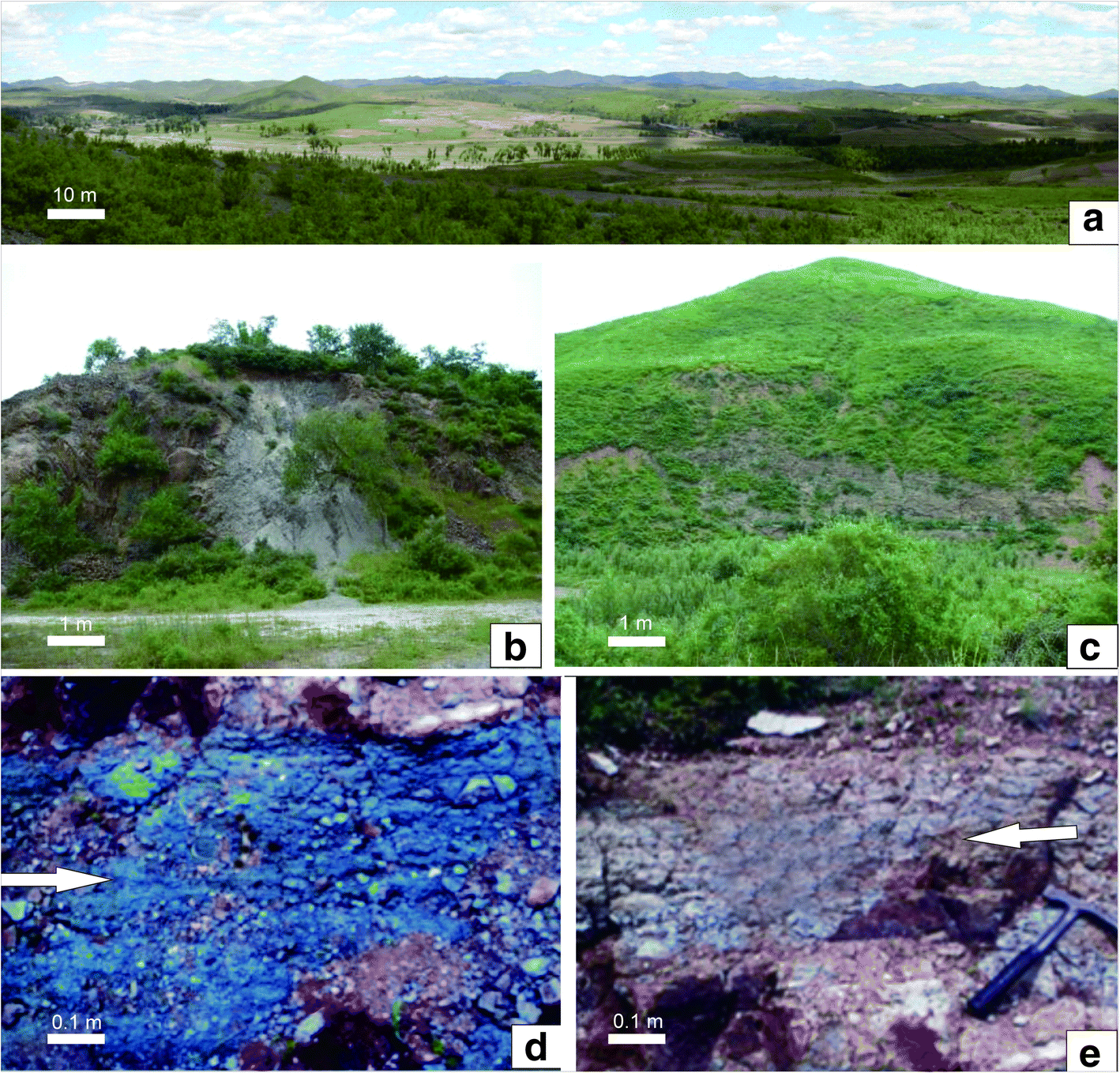 Fig. 2