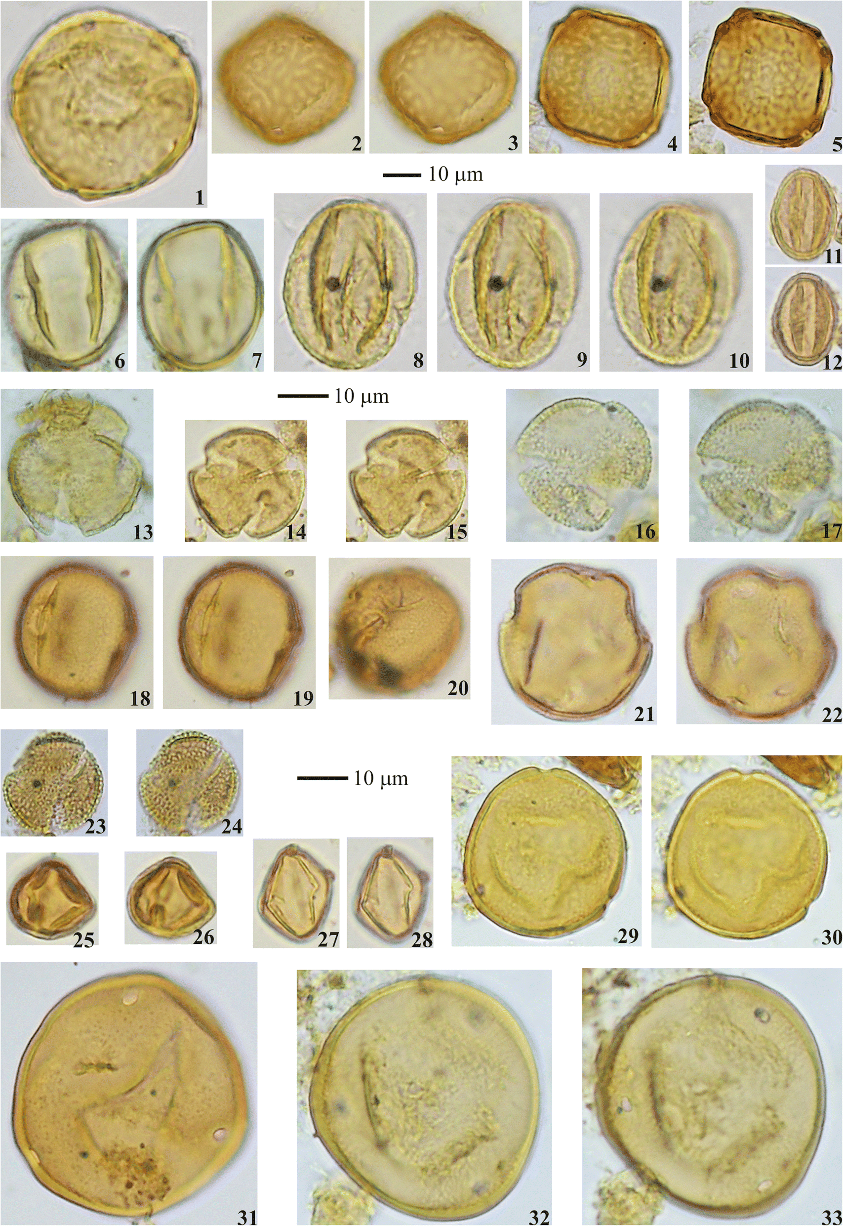 Plate 2