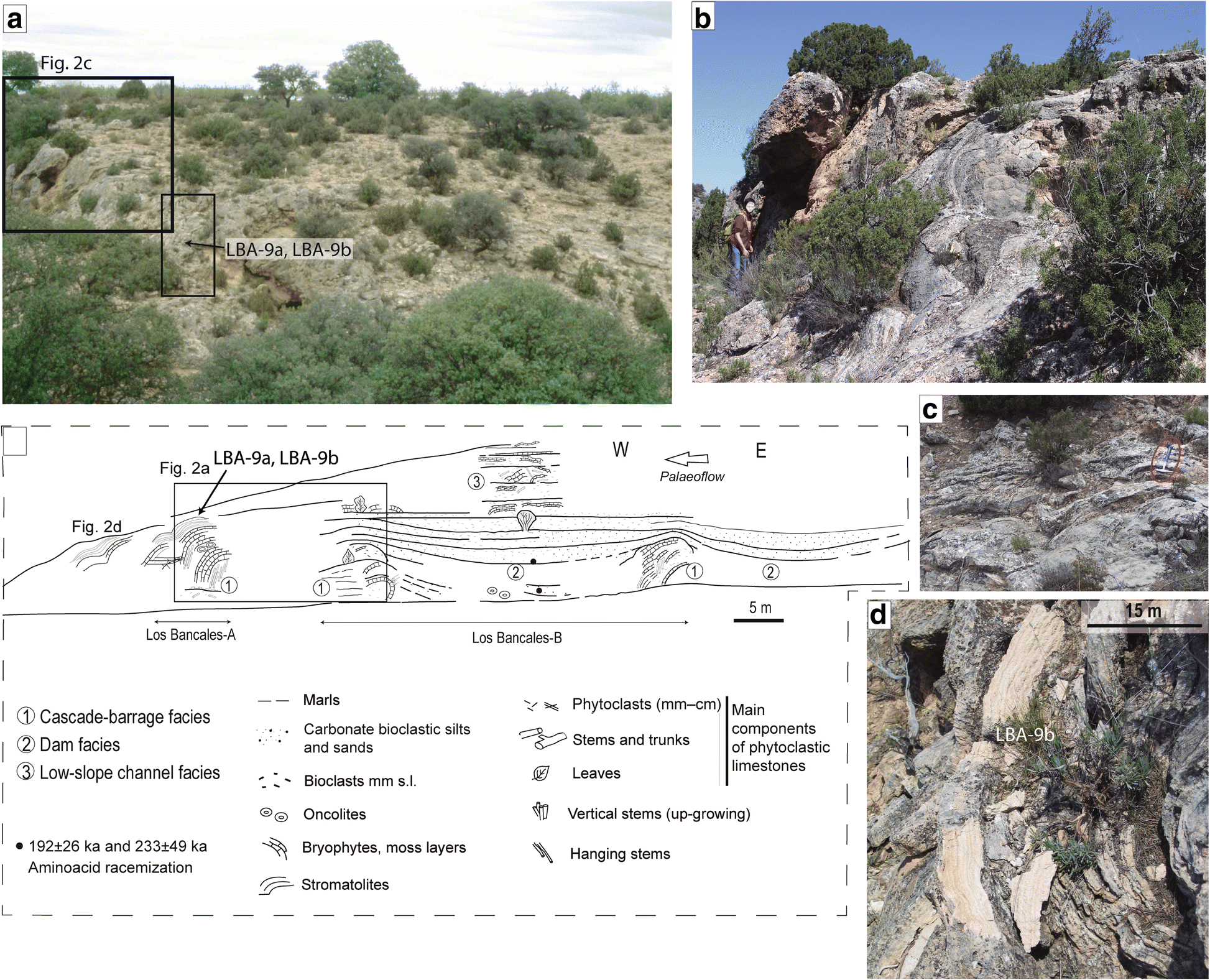 Fig. 2