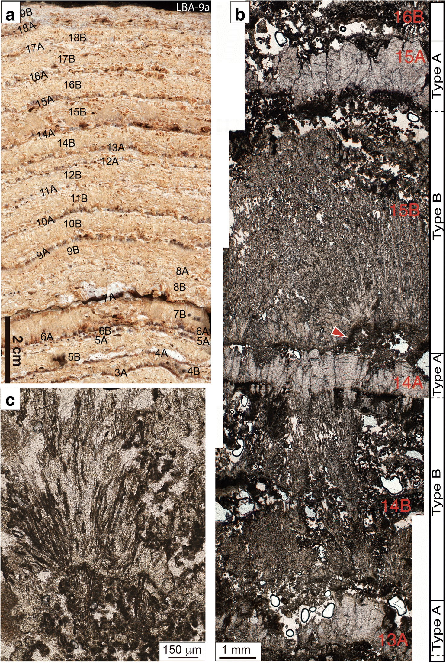 Fig. 4