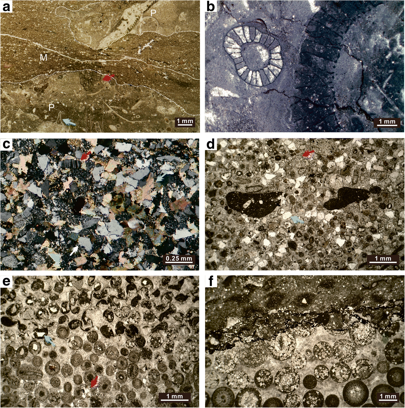 Fig. 4