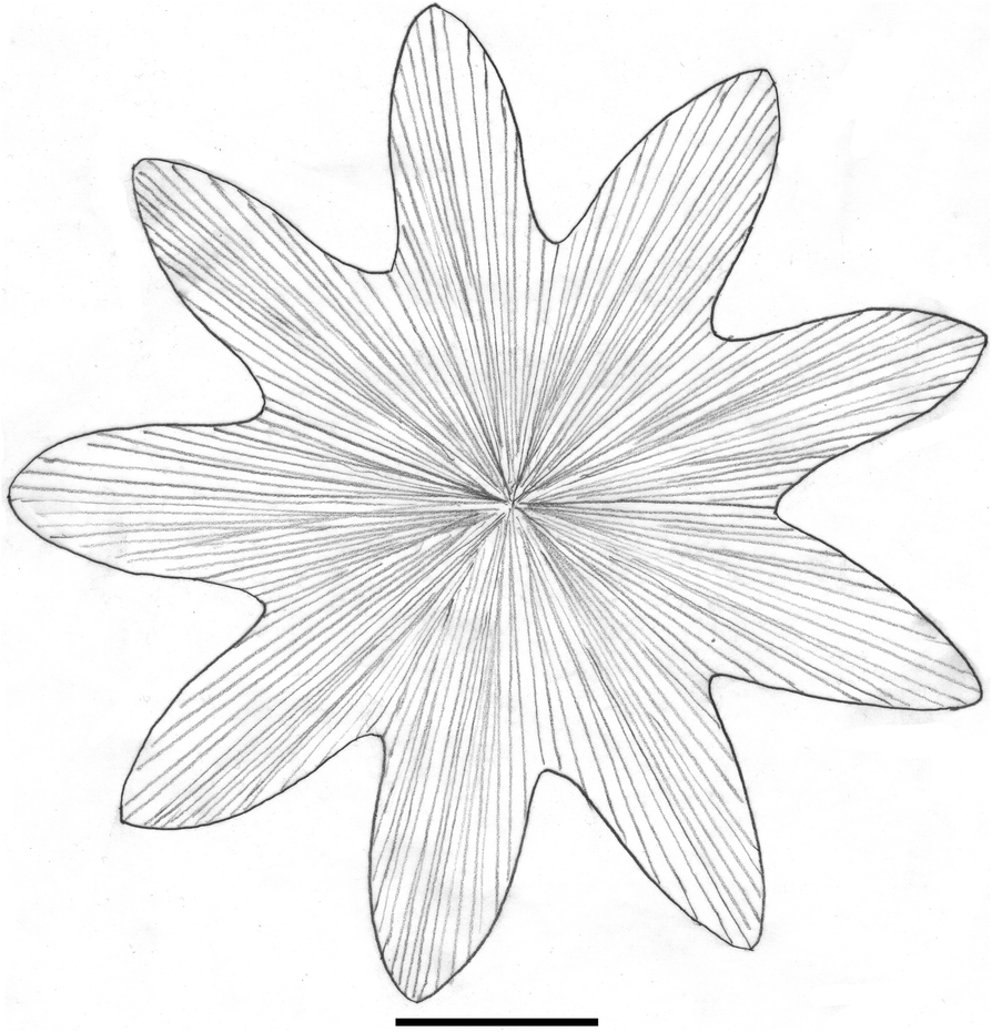 Fig. 5