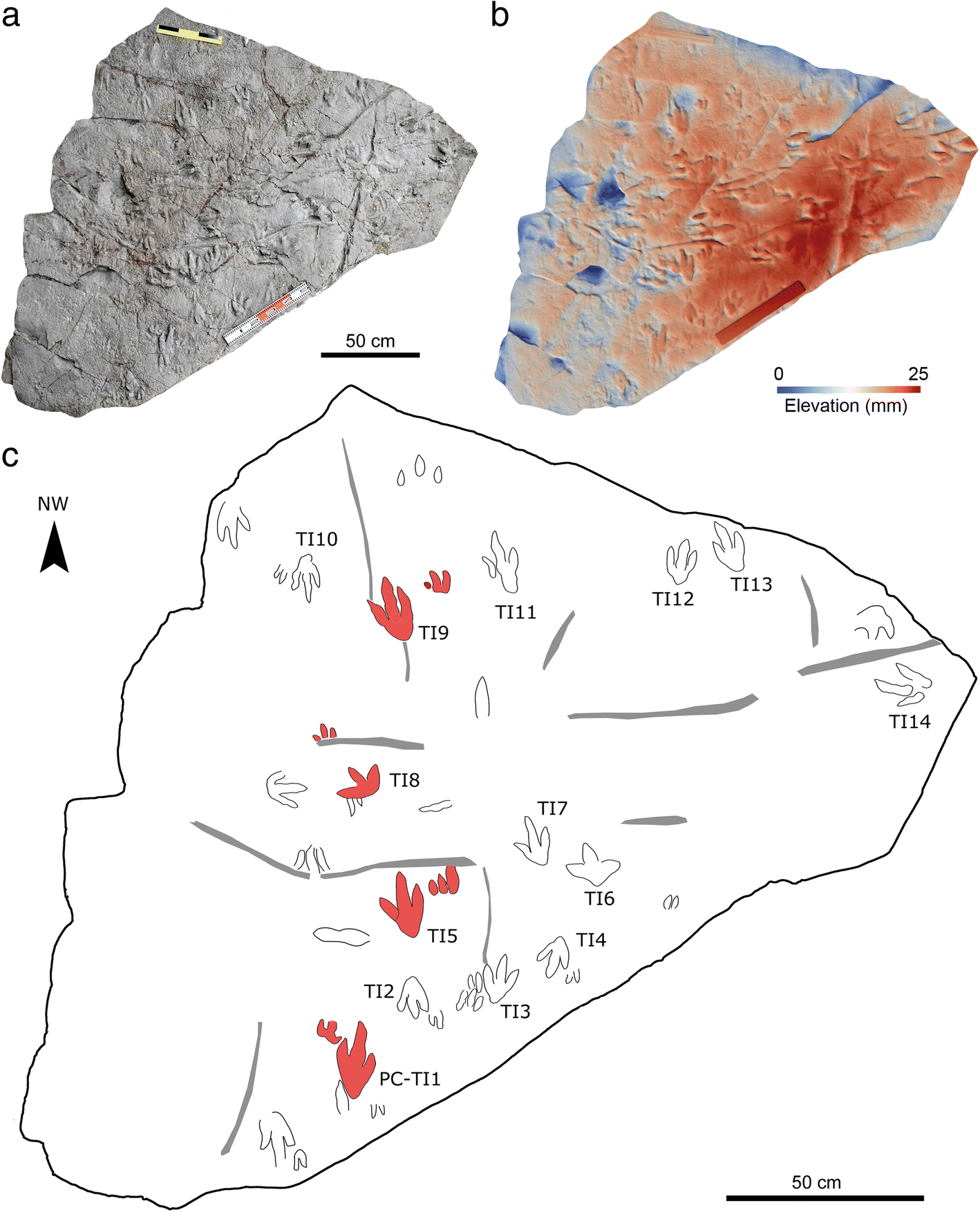 Fig. 4