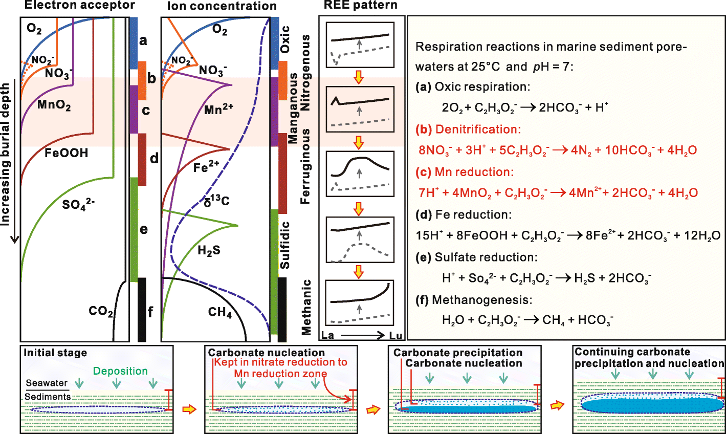 Fig. 8