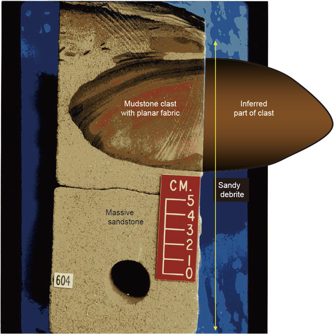 Fig. 1