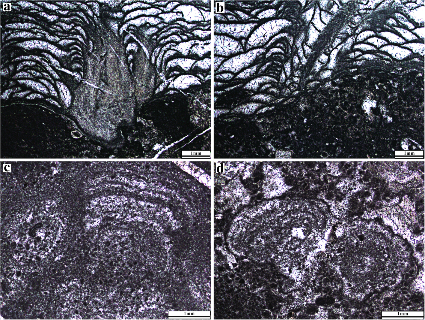 Fig. 12