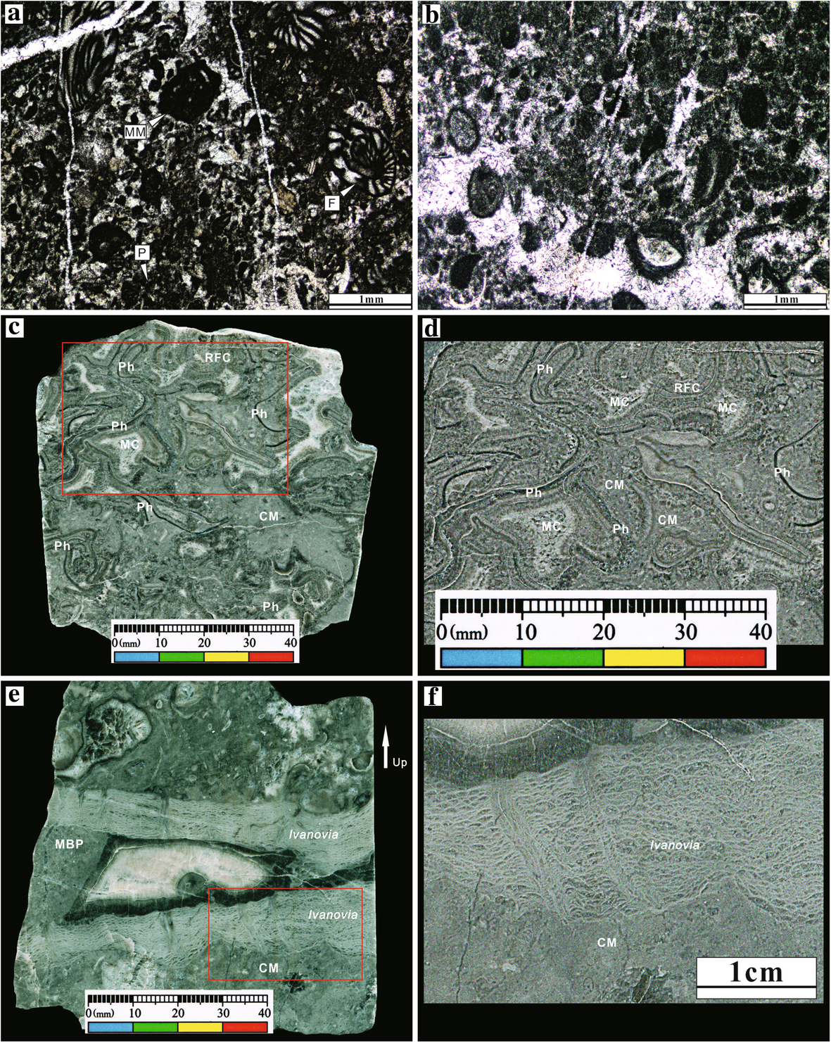 Fig. 3