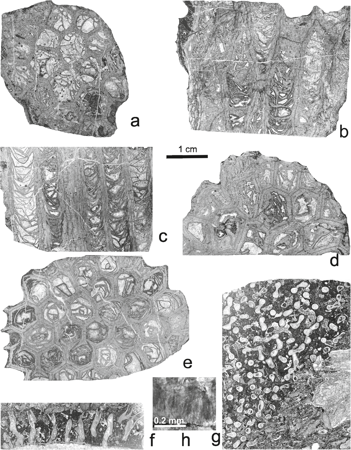 Fig. 10