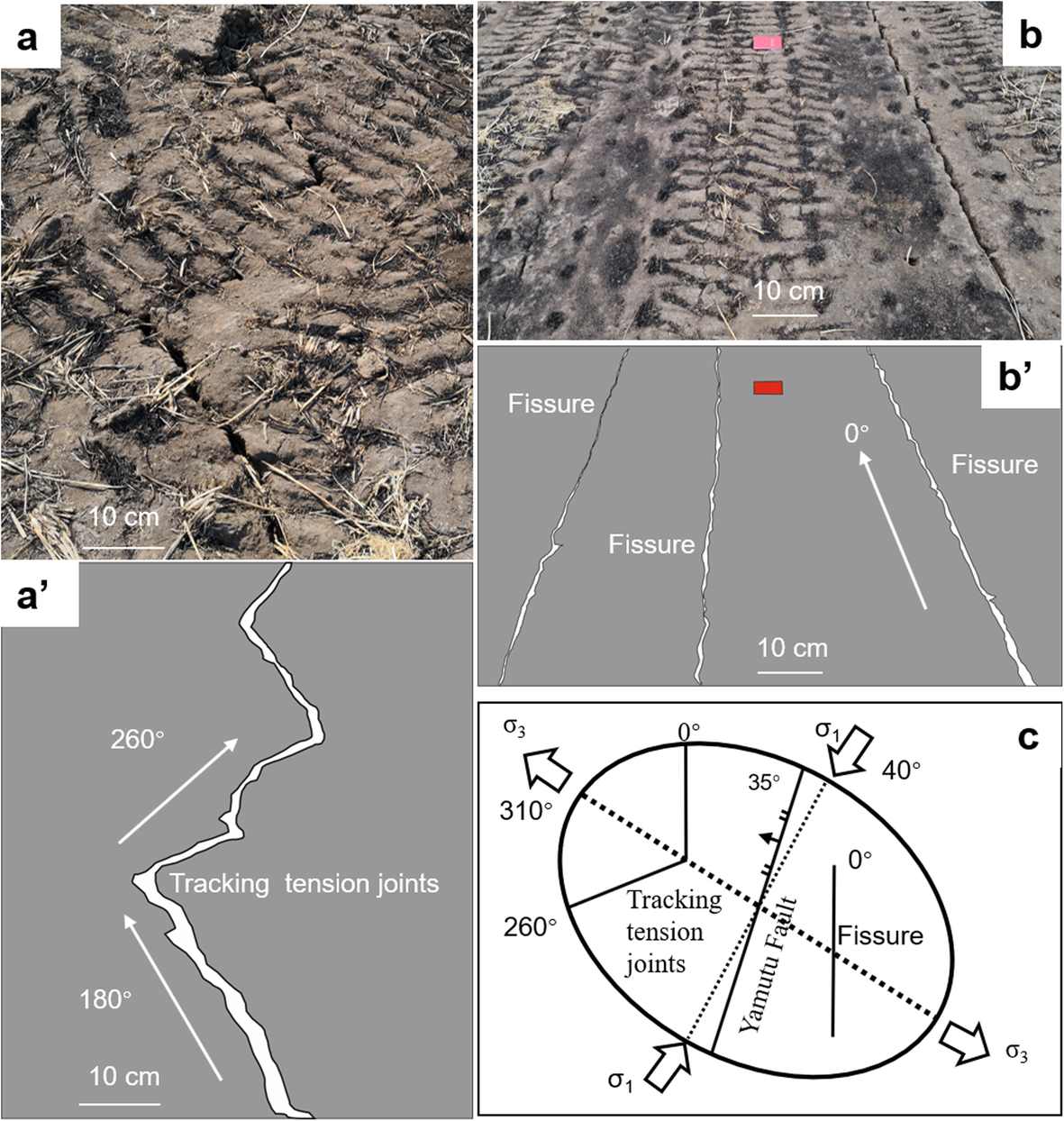 Fig. 15