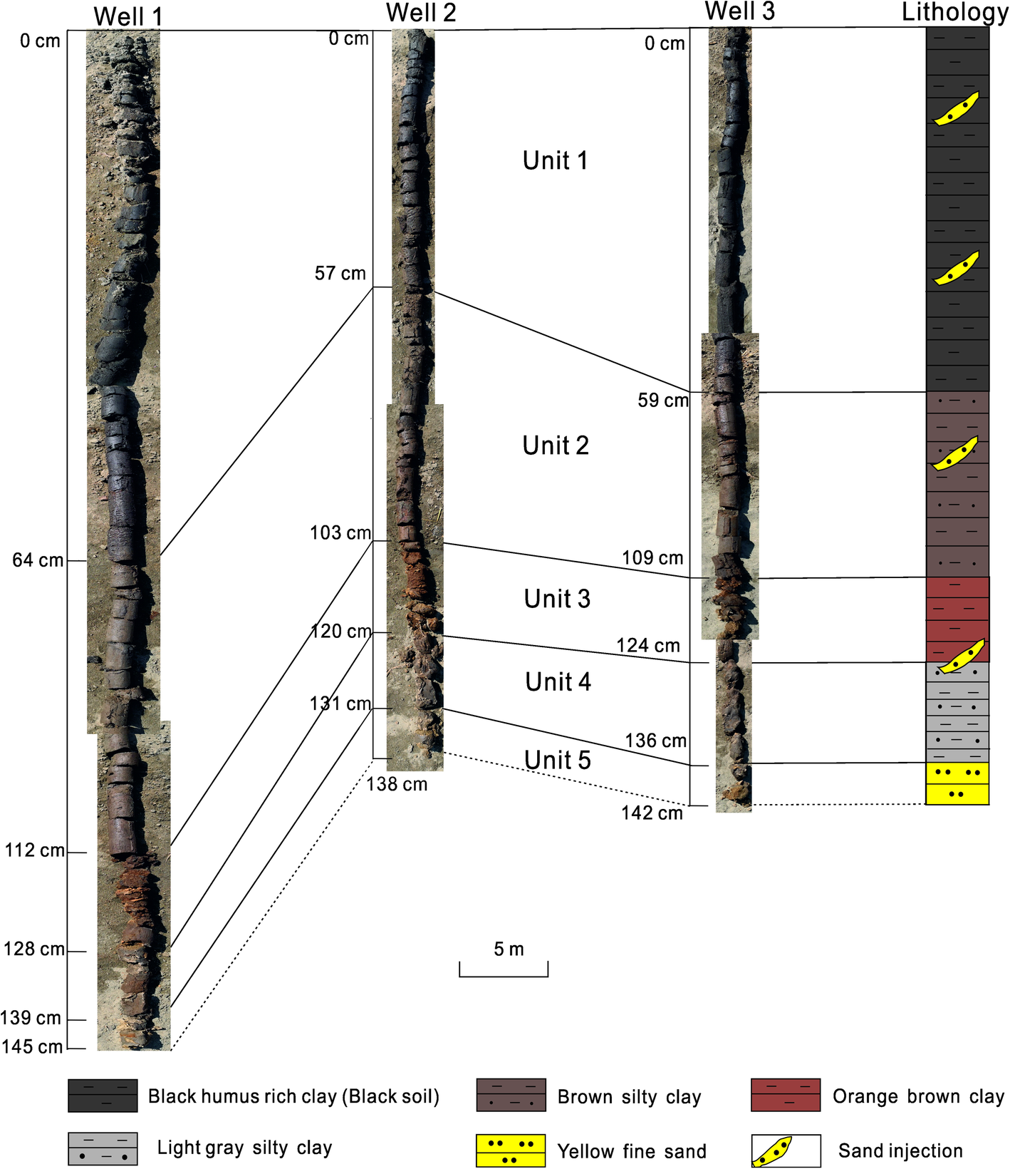 Fig. 3