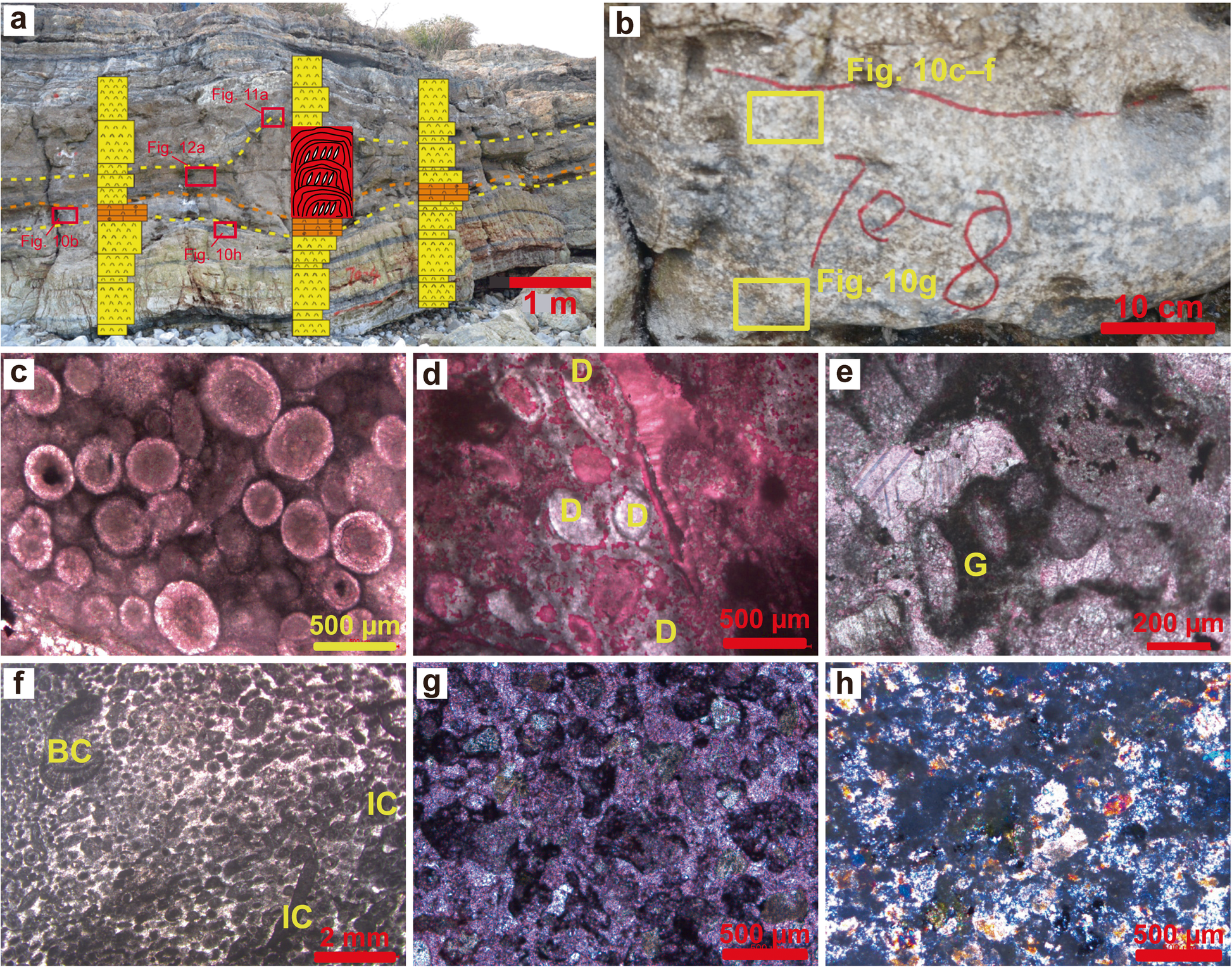 Fig. 10