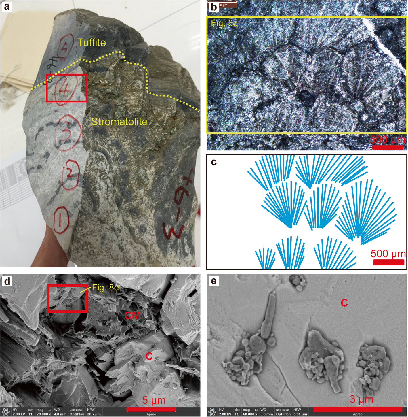 Fig. 8