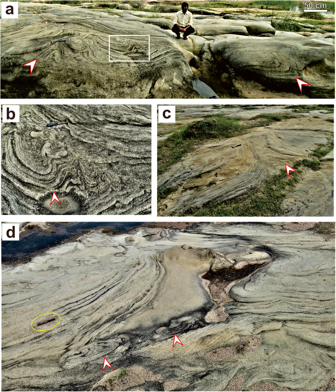 Fig. 7