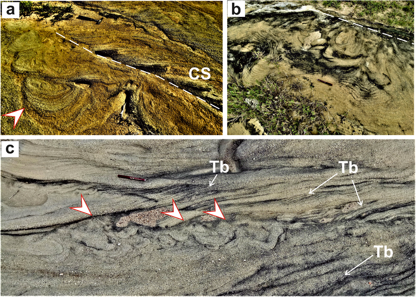 Fig. 8