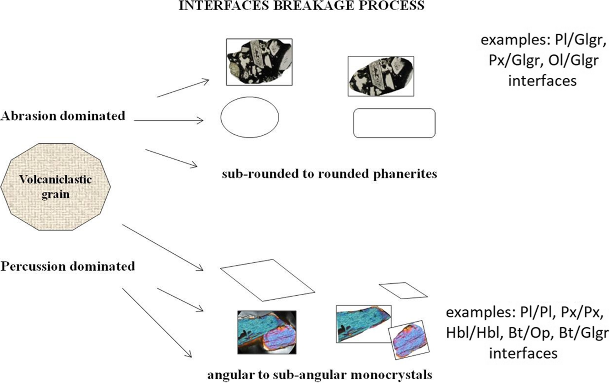 Fig. 11