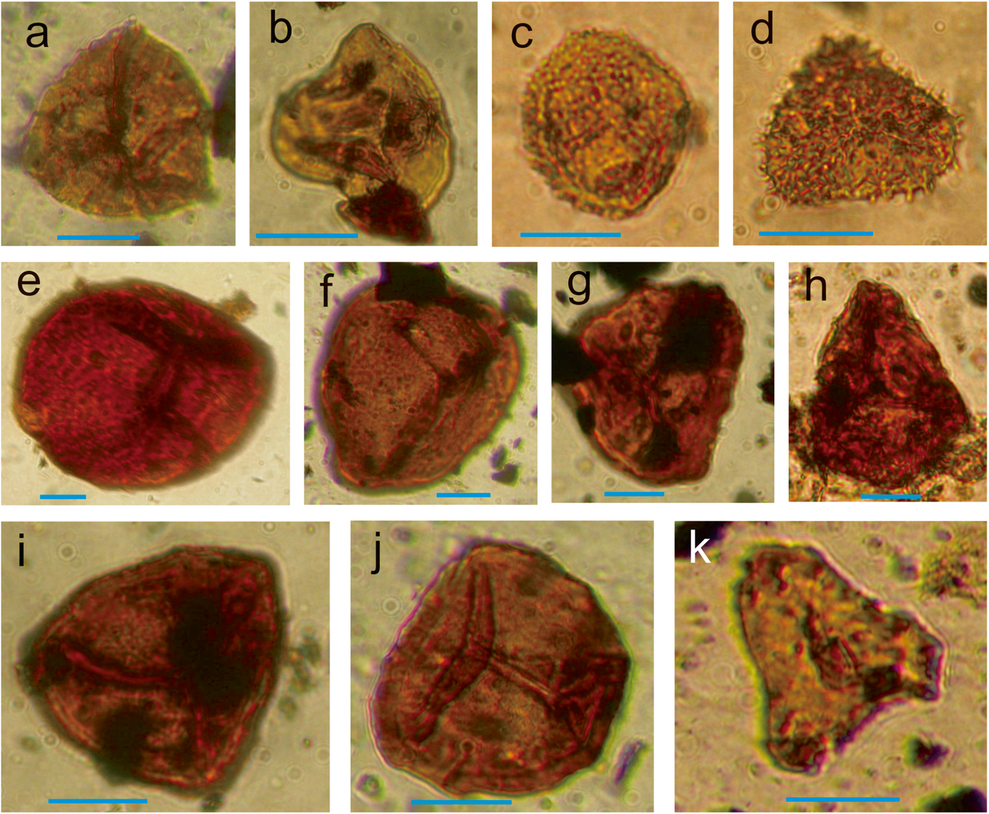 Fig. 6