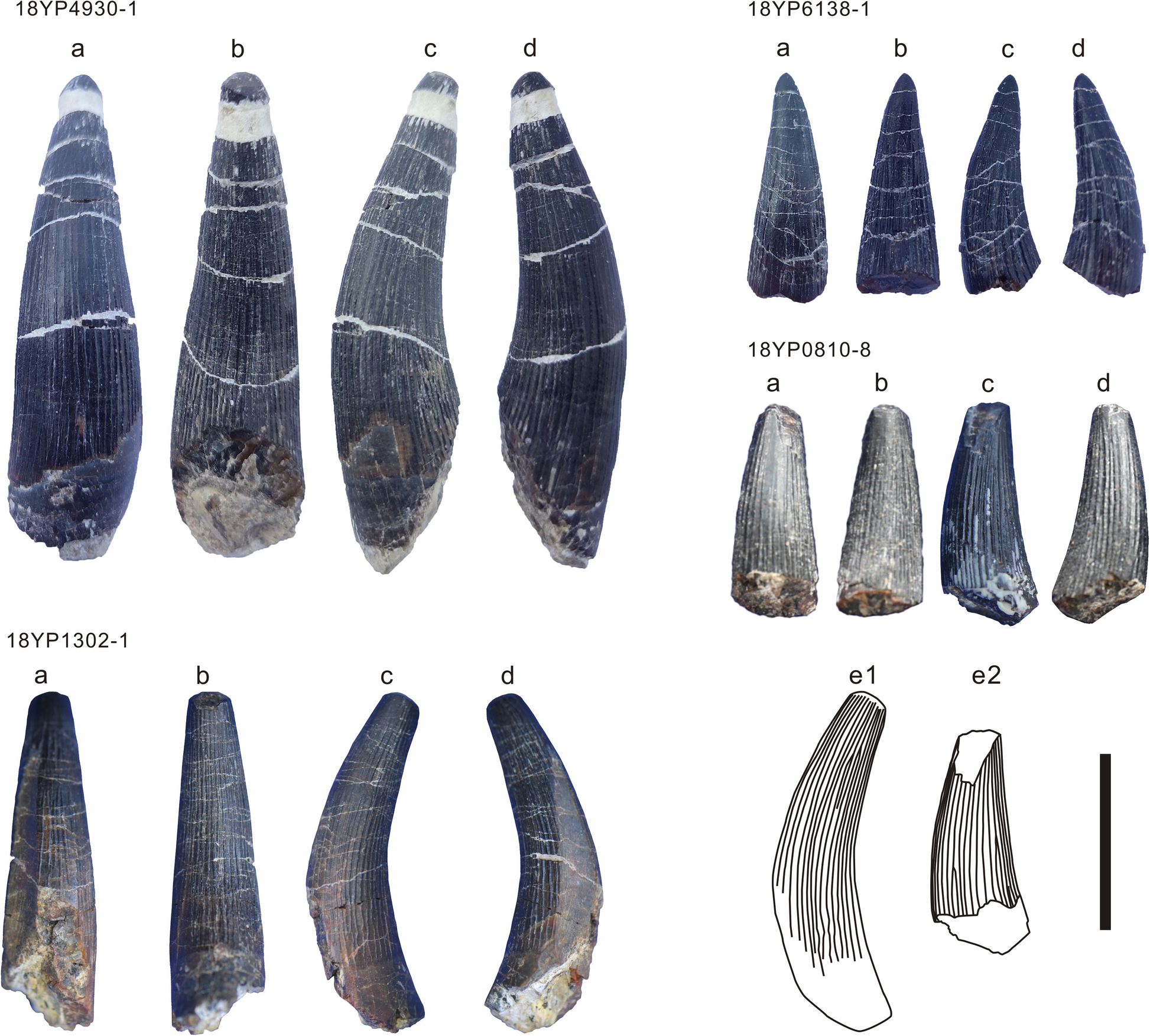 Fig. 2