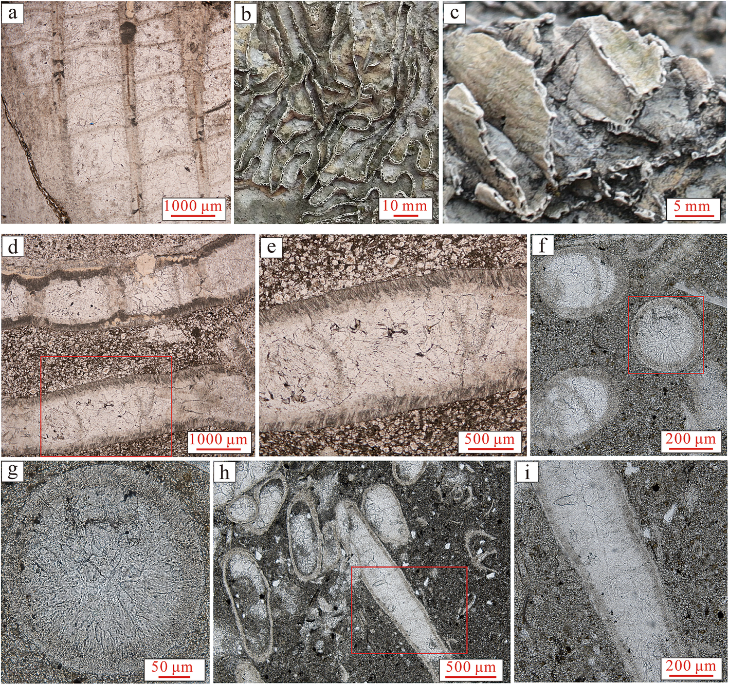 Fig. 11