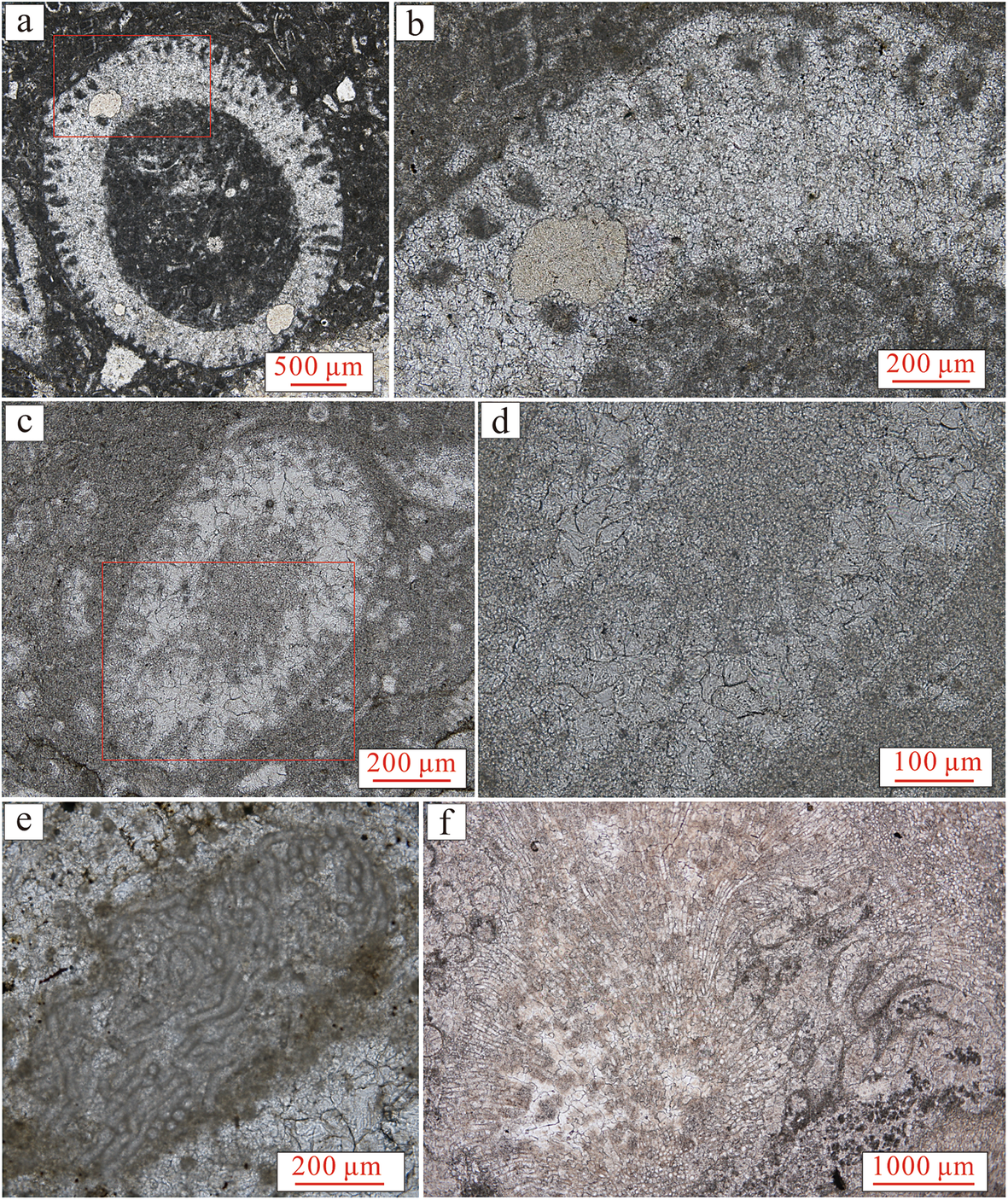 Fig. 13