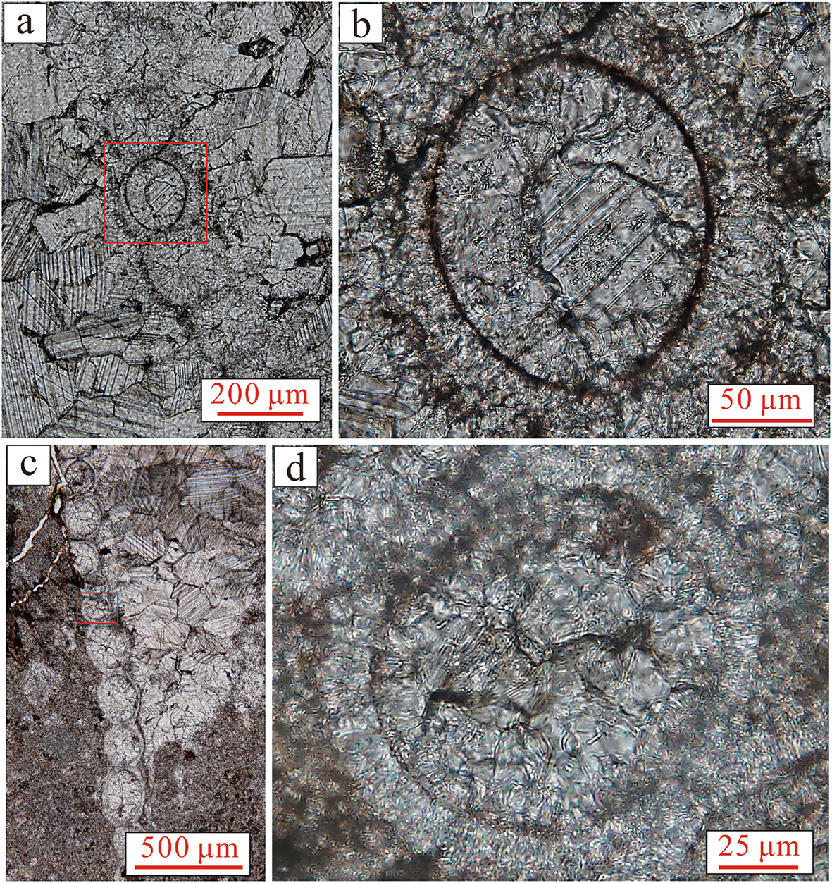 Fig. 5