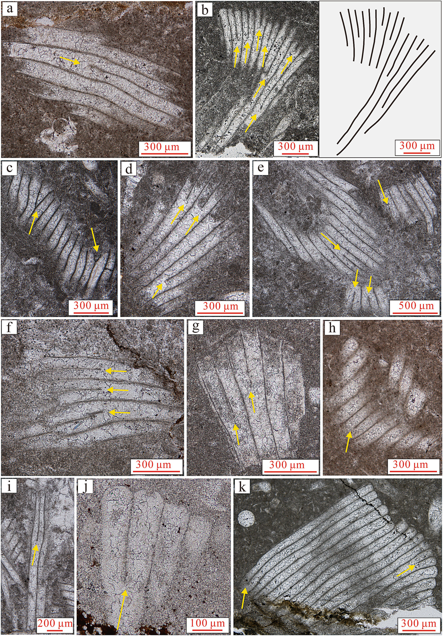 Fig. 8