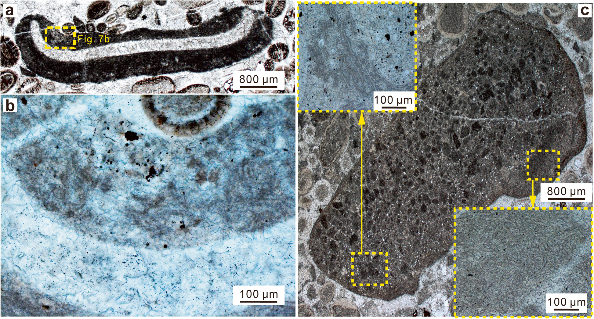 Fig. 7