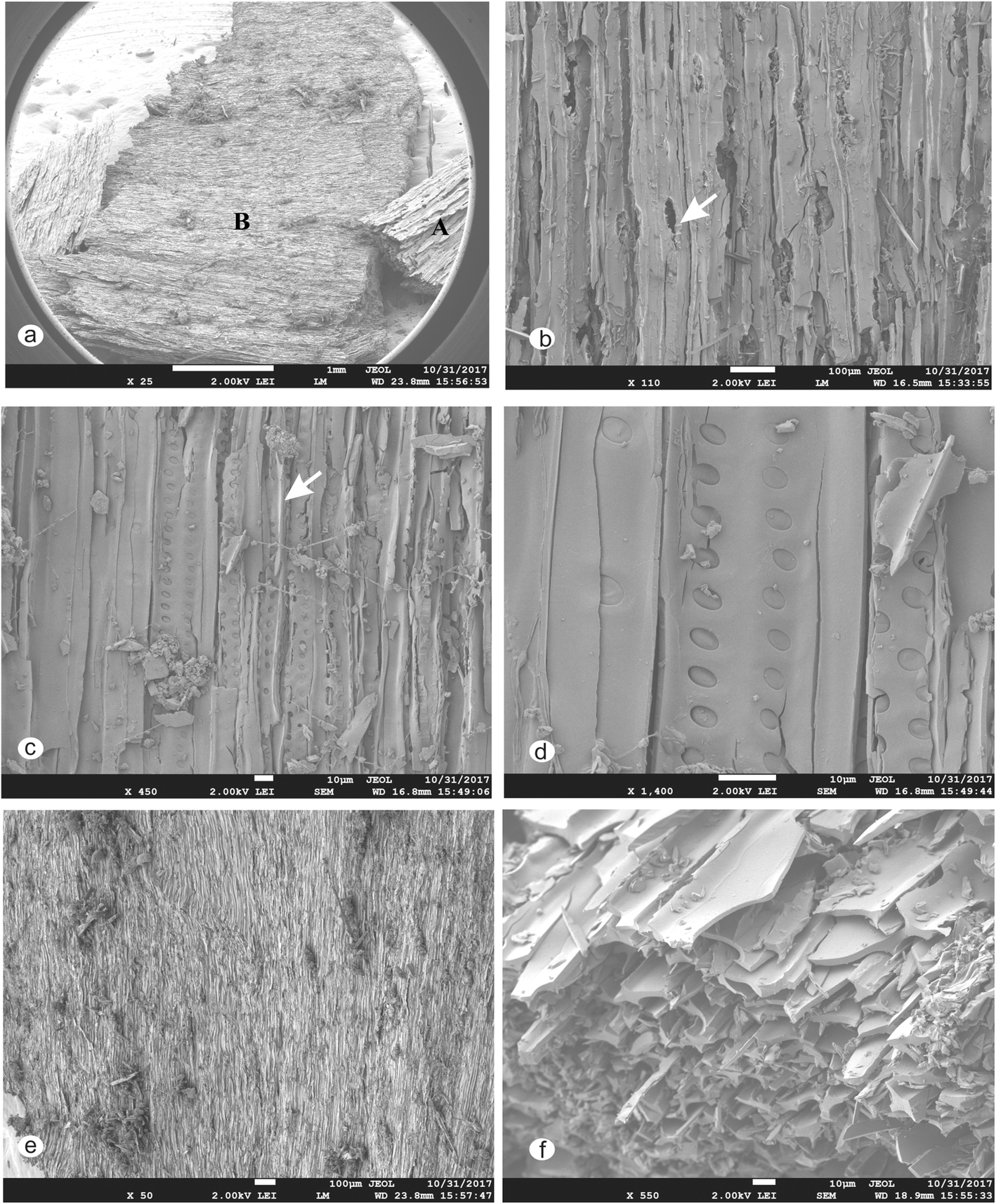 Fig. 9