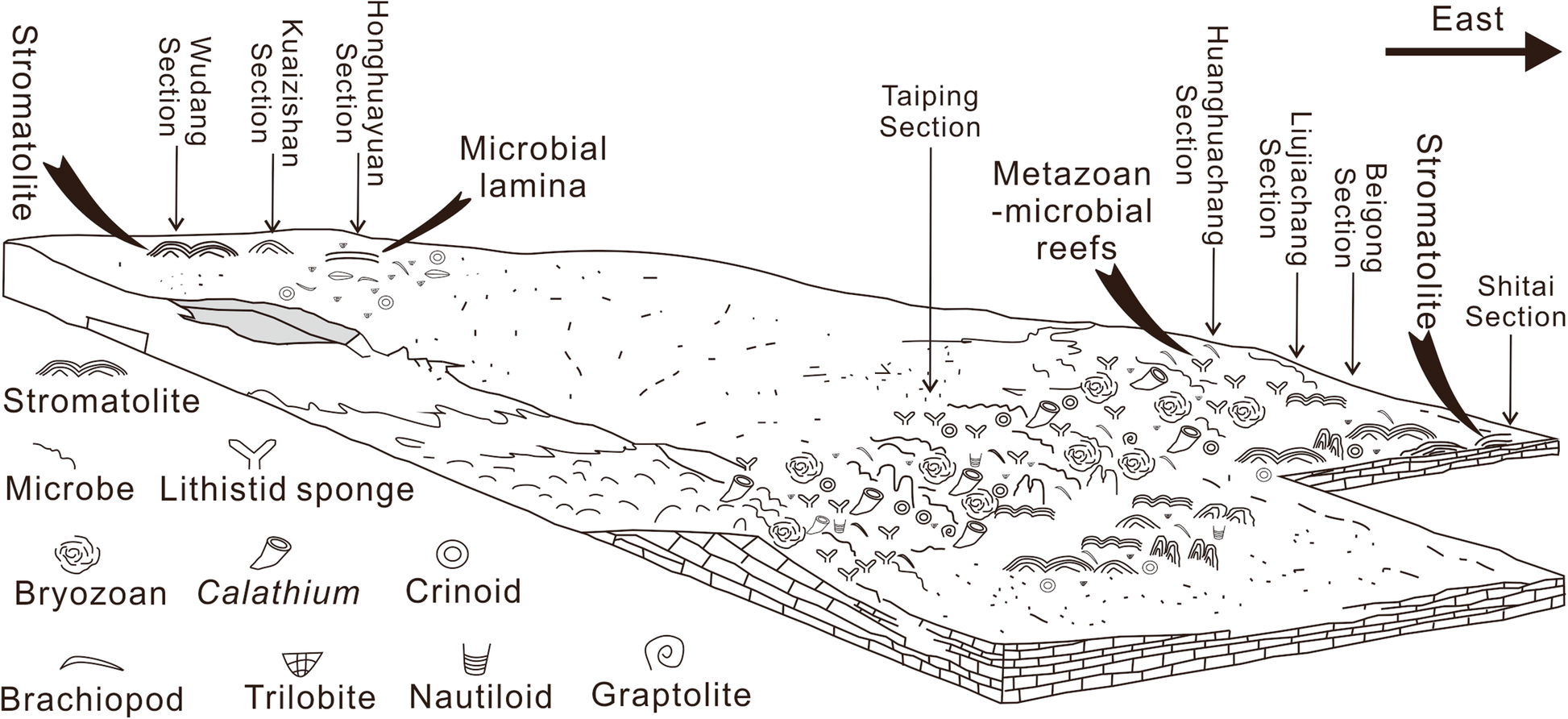 Fig. 12