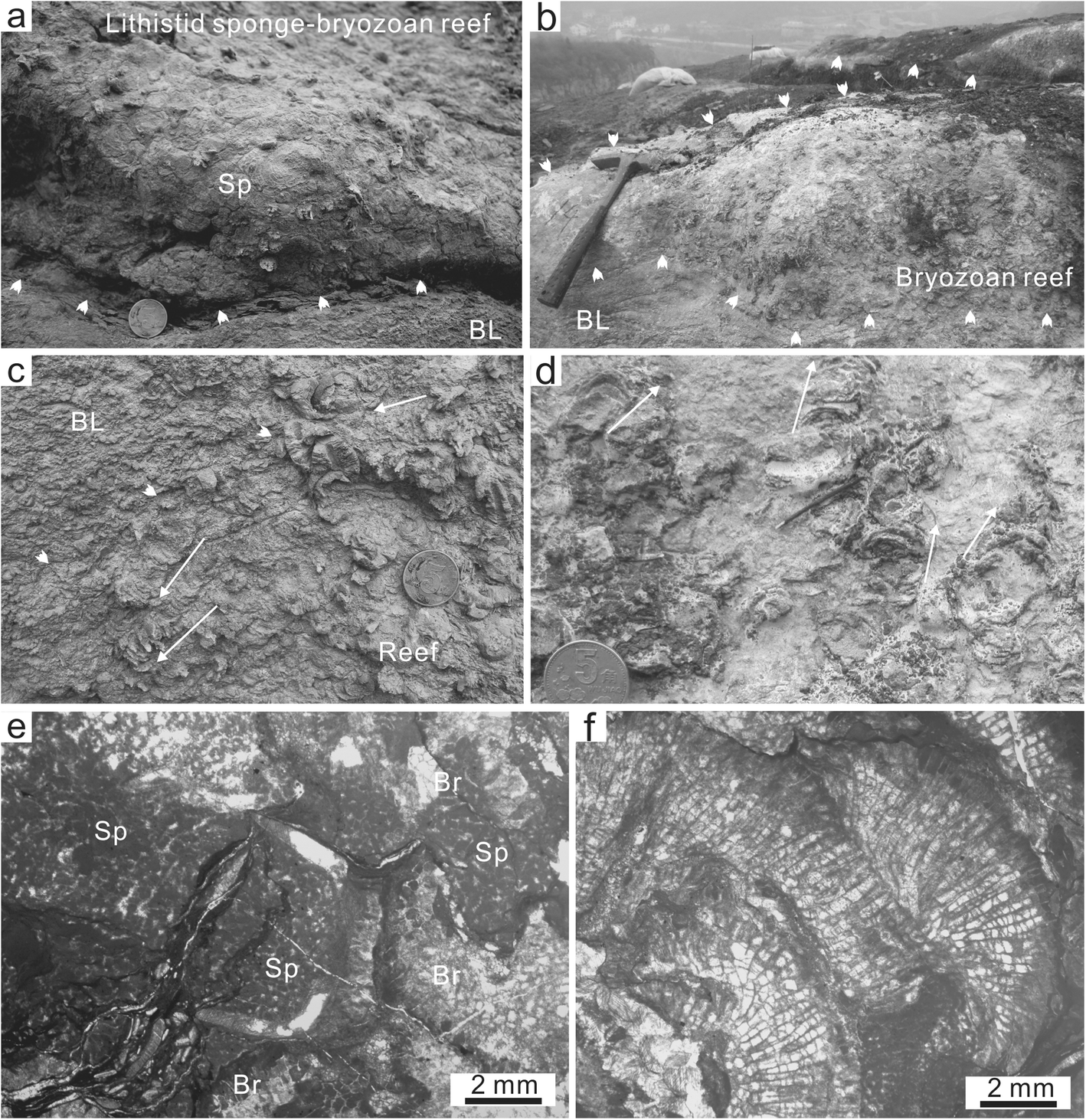 Fig. 8