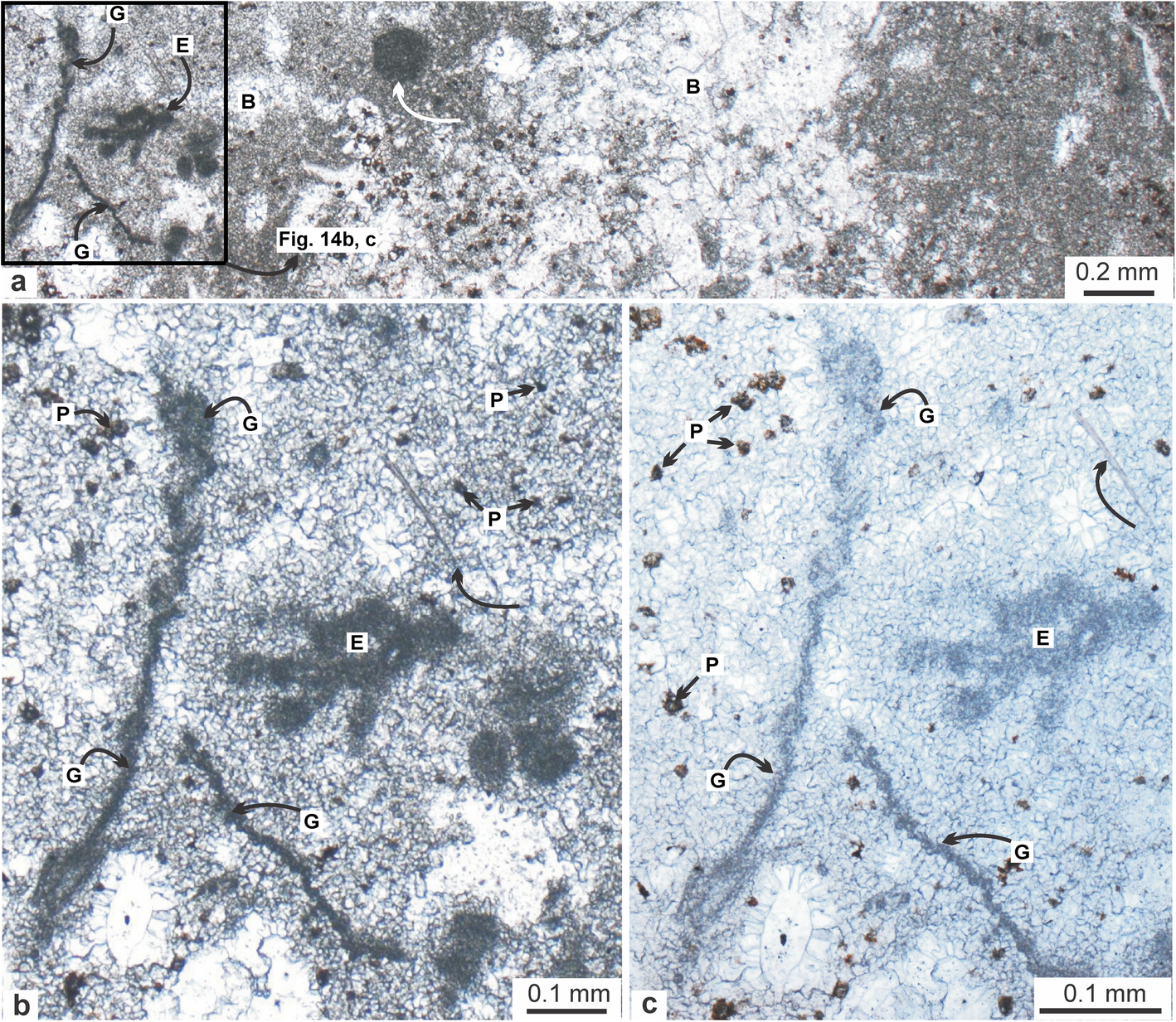 Fig. 14