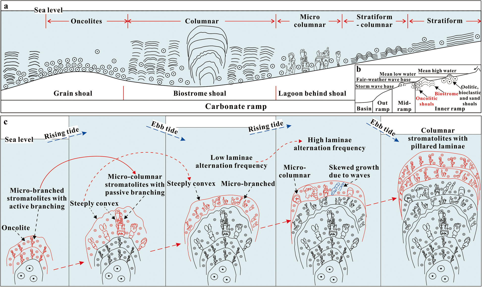 Fig. 13