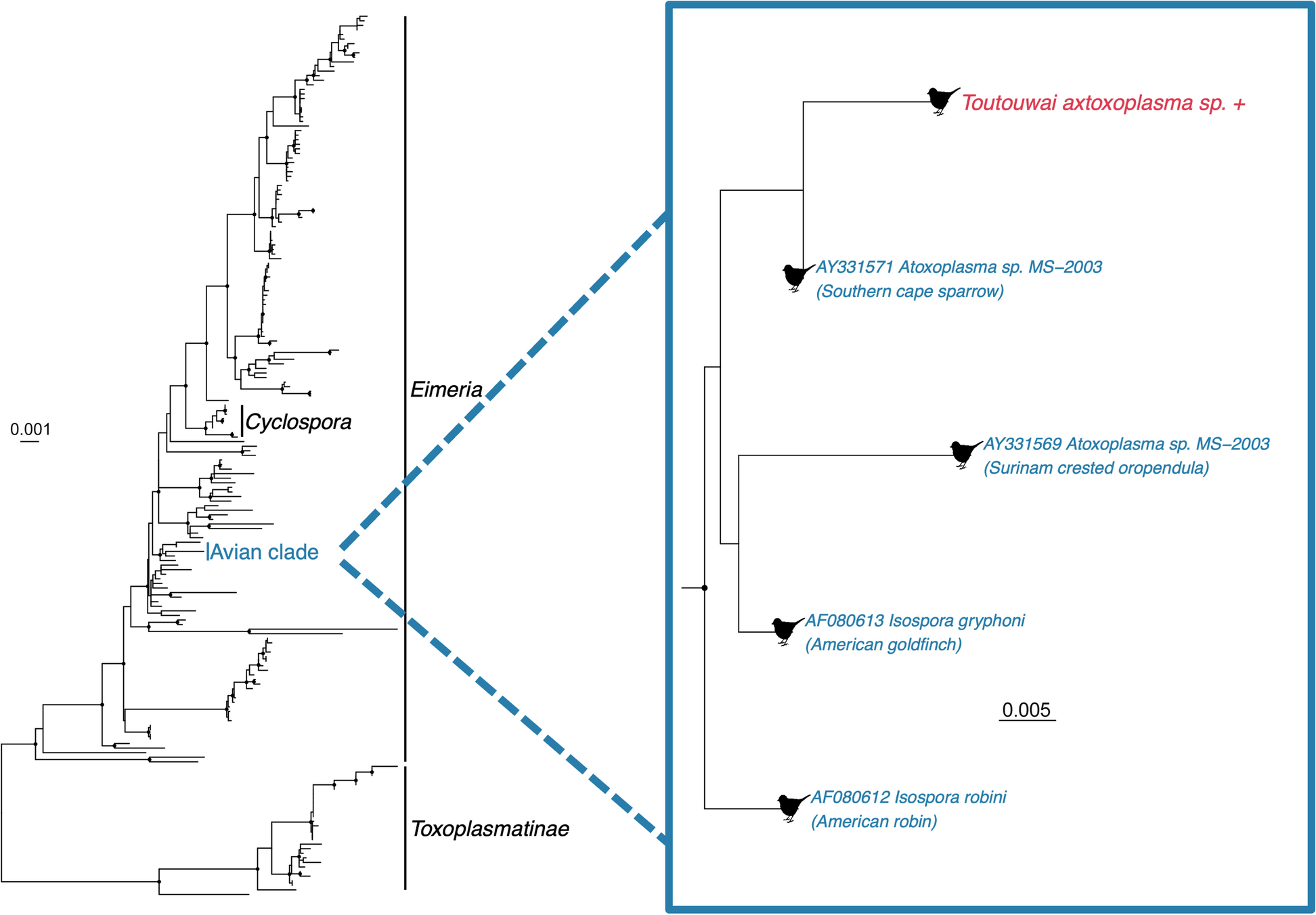 Fig. 6