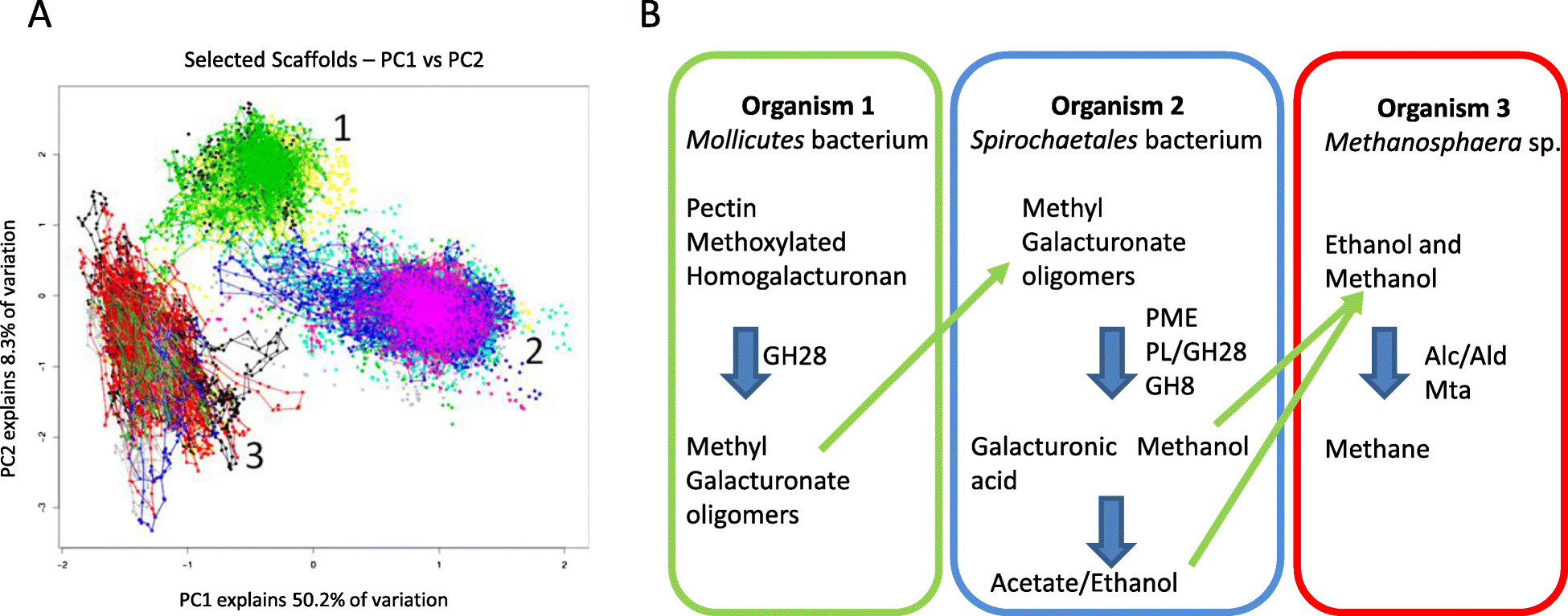 Fig. 3