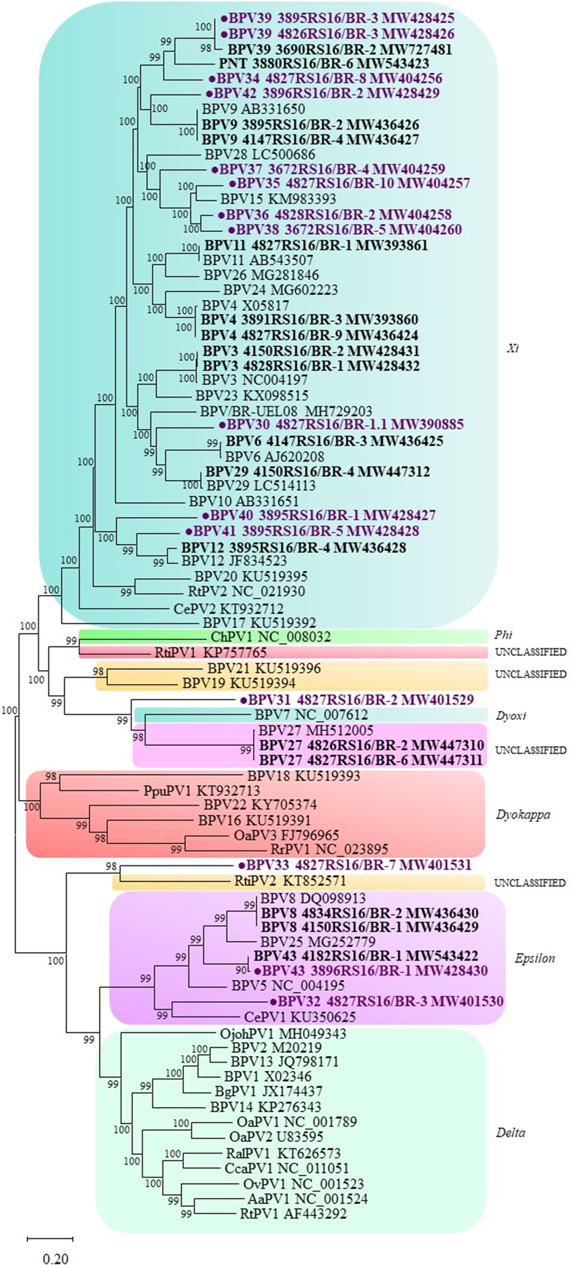 Fig. 4