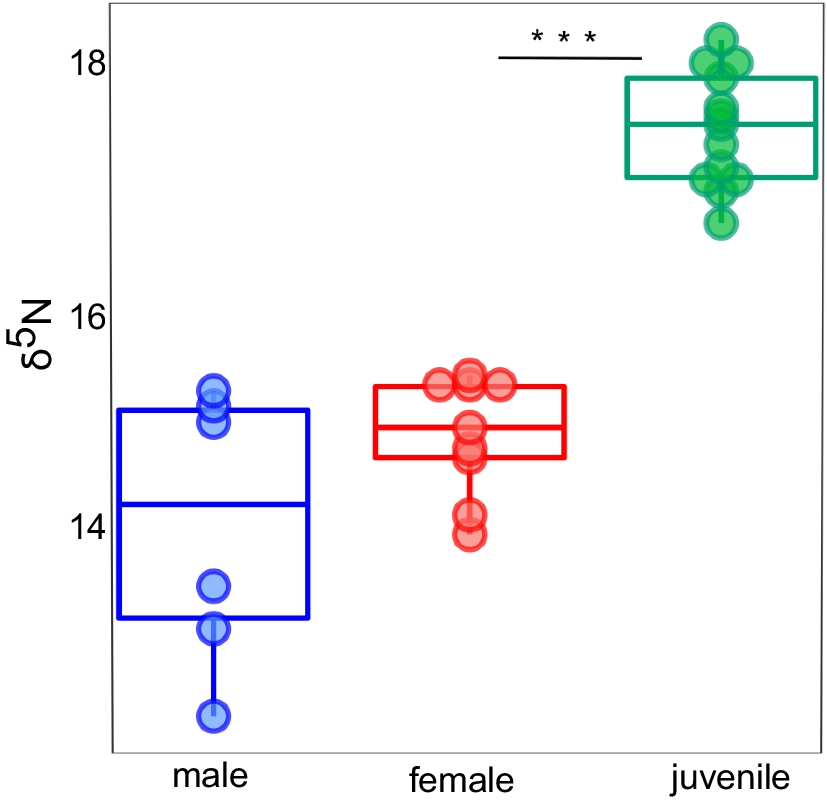 Fig. 8