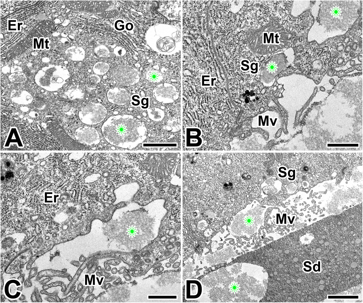 Fig. 9