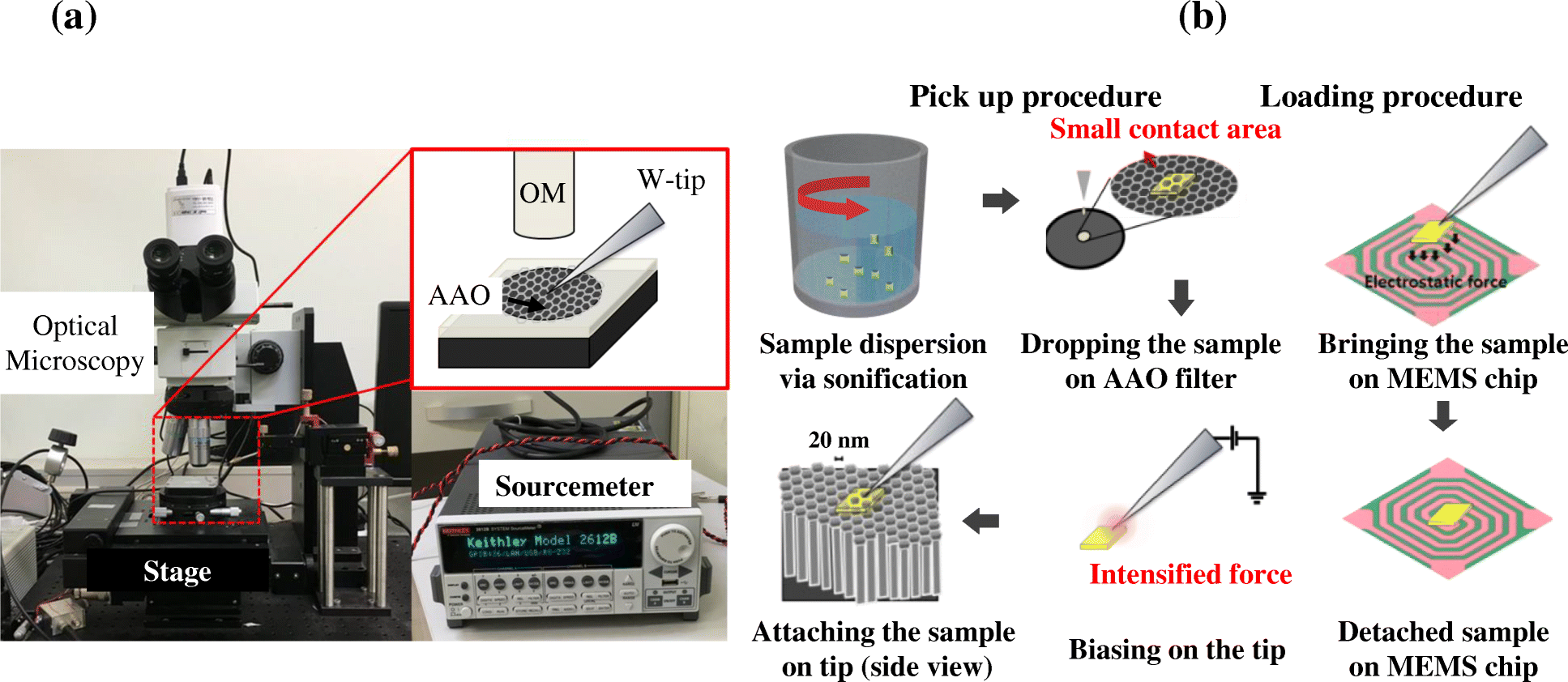 Fig. 1