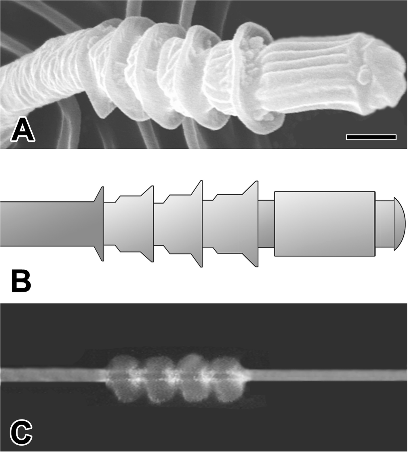 Fig. 6