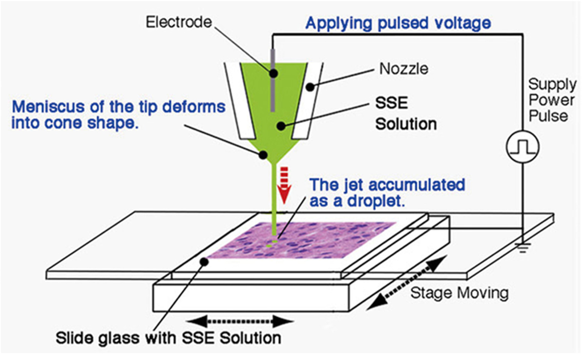 Fig. 10