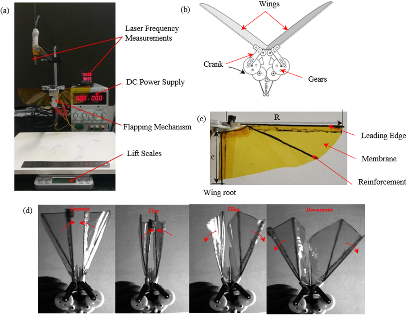 Fig. 2