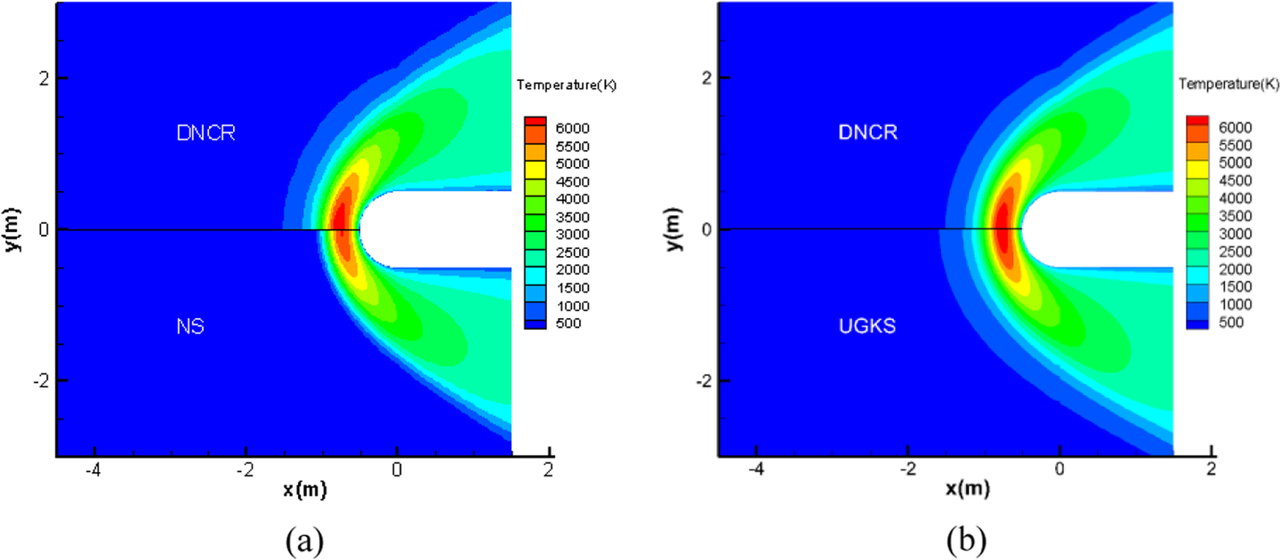 Fig. 10