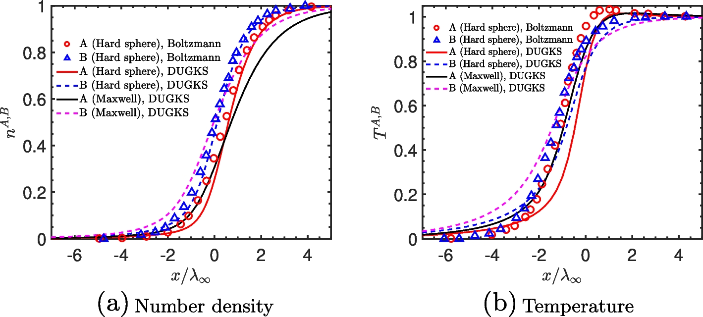 Fig. 10