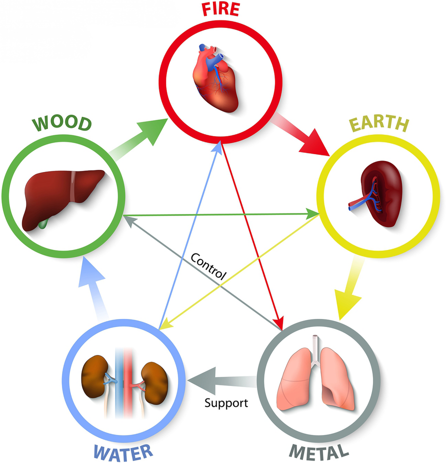 Fig. 2