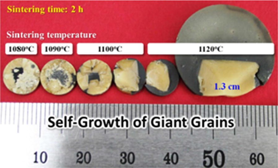 Fig. 11