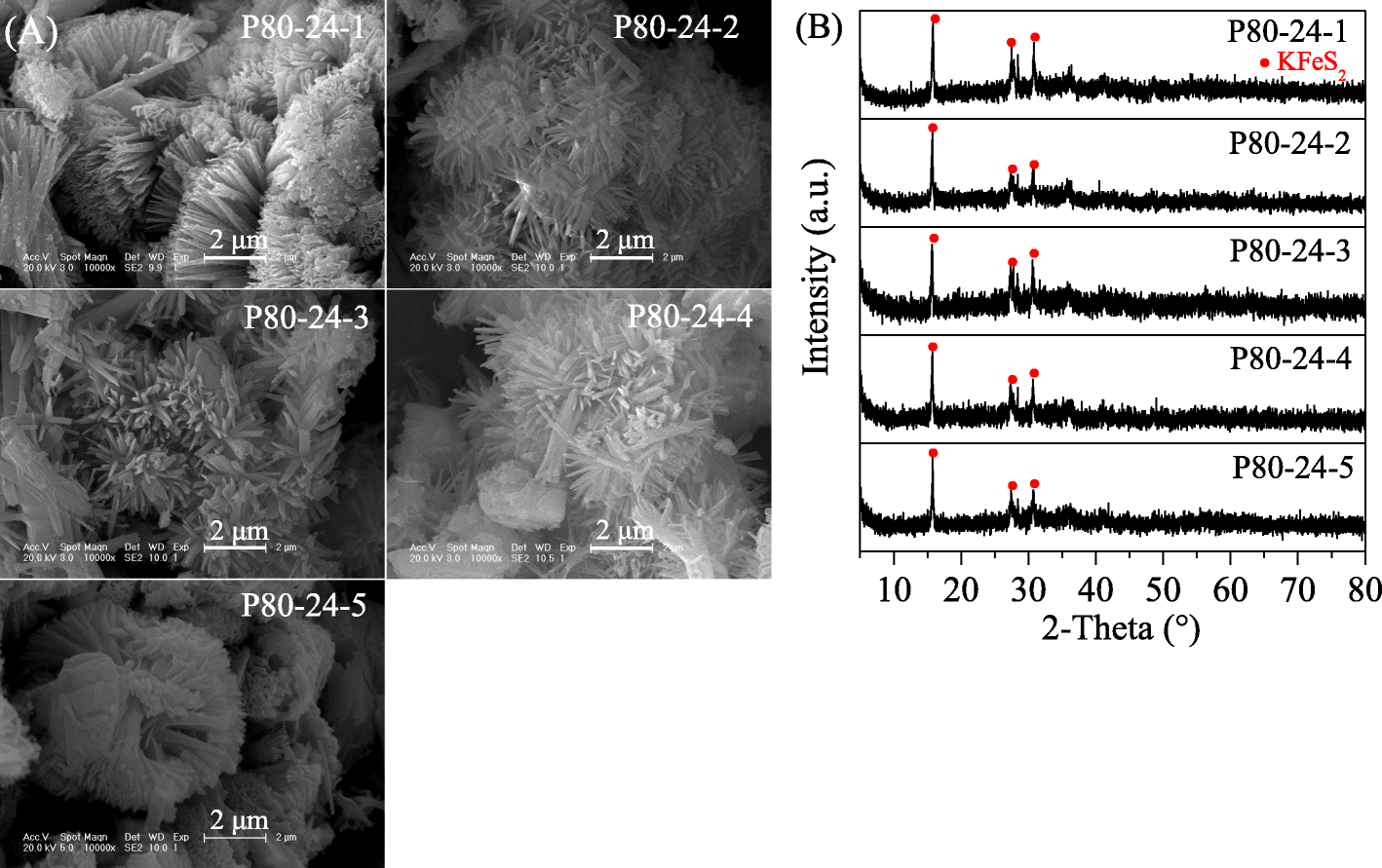 Fig. 4