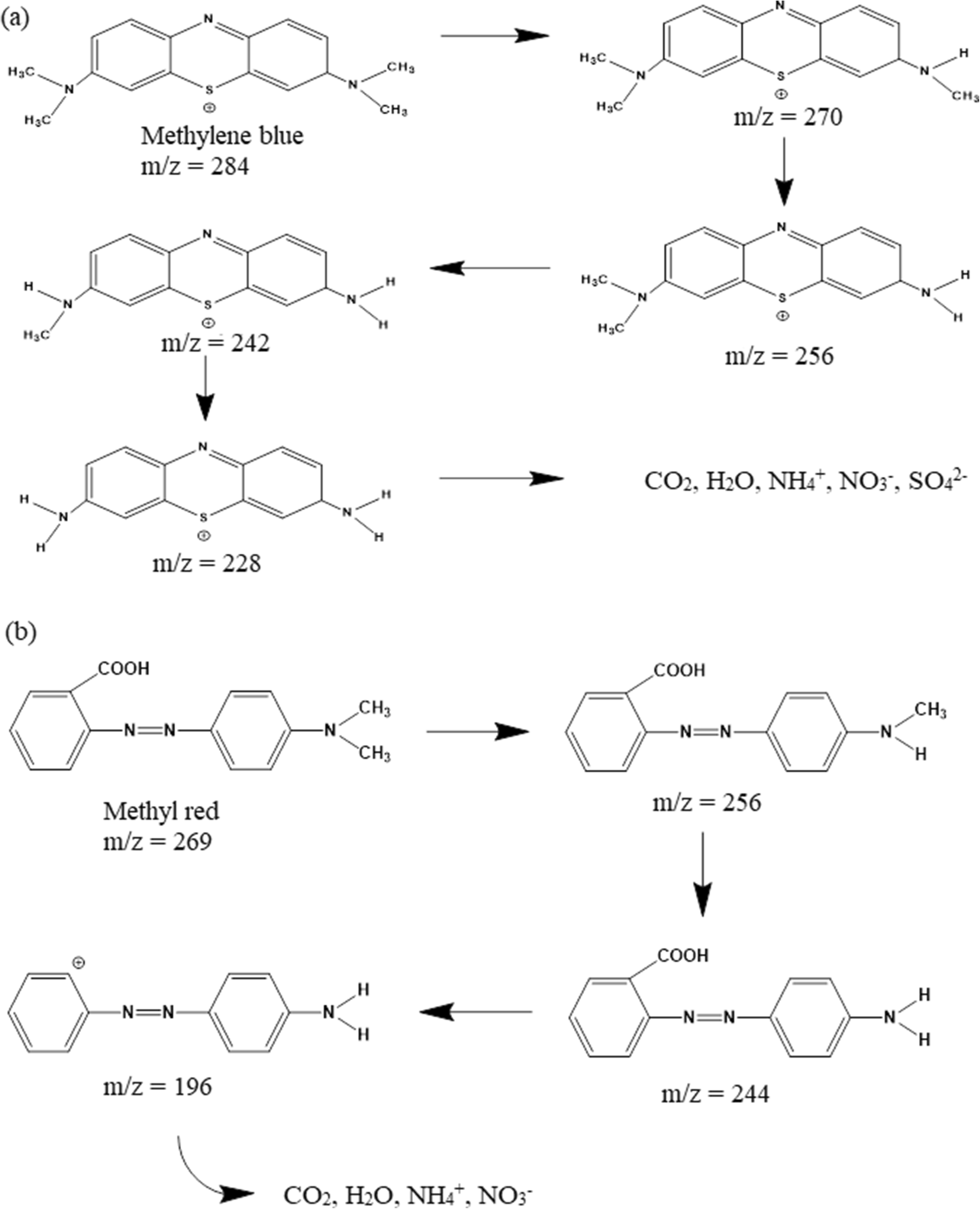 Fig. 10