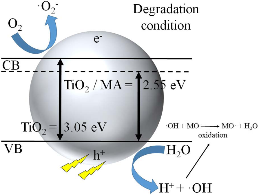 Fig. 11