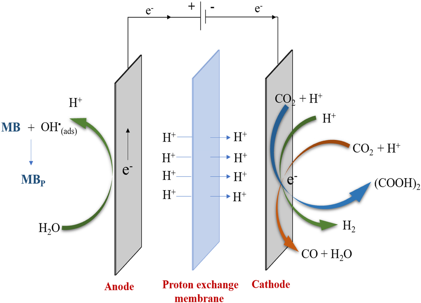 Fig. 6