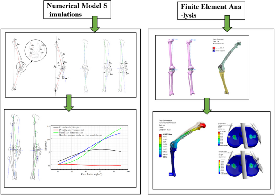 Fig. 1 (Abstract P18)