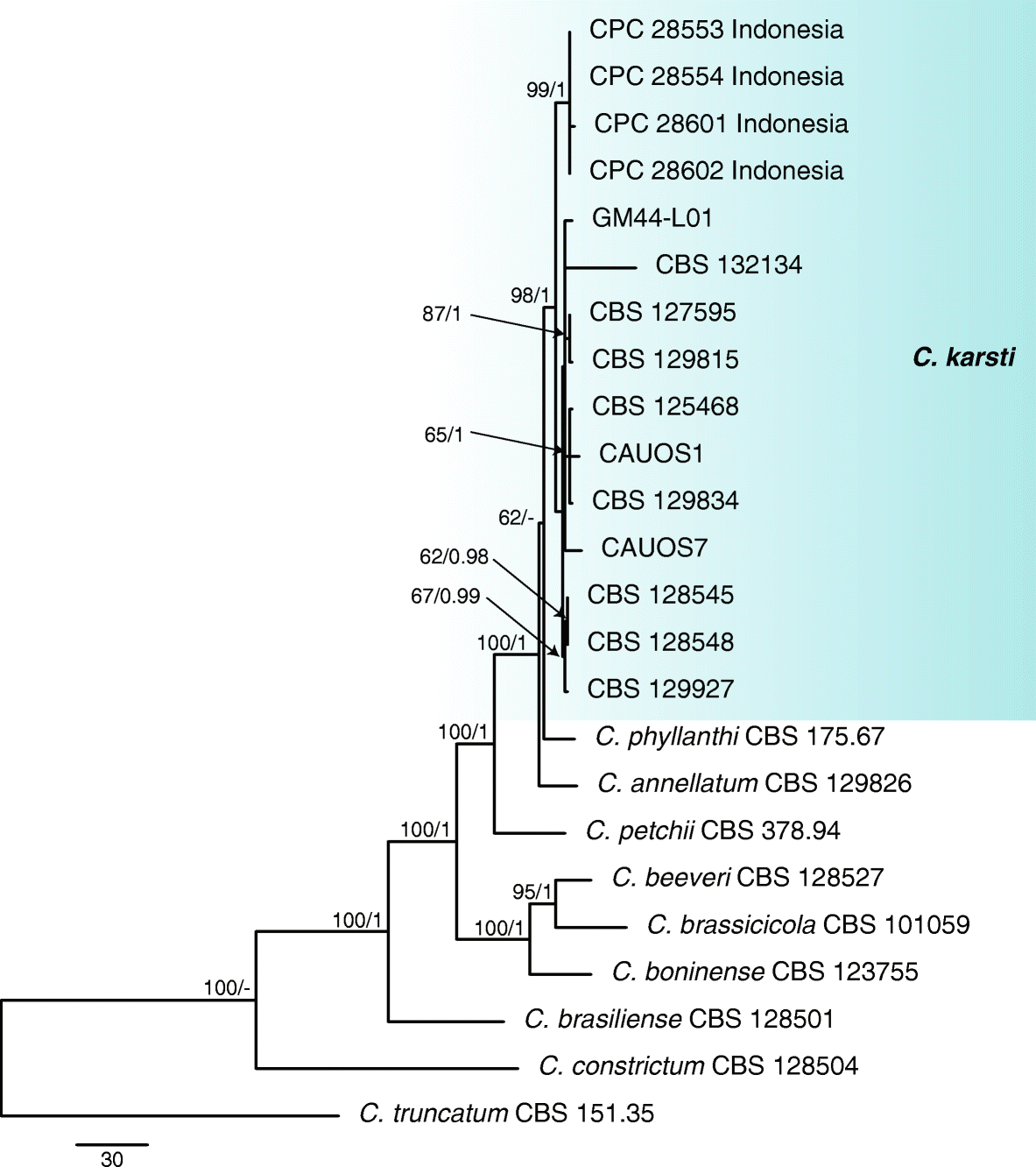 Fig. 2